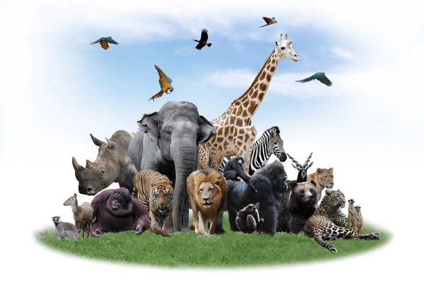 group-safari-animals